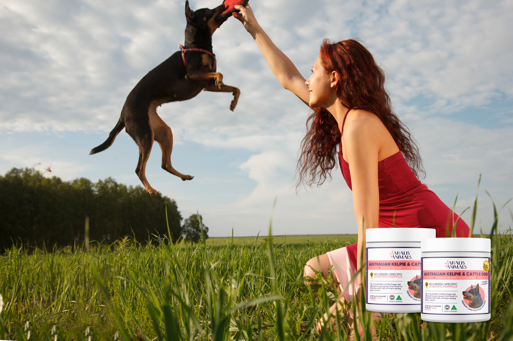 Dog Multivitamins for Your Breed