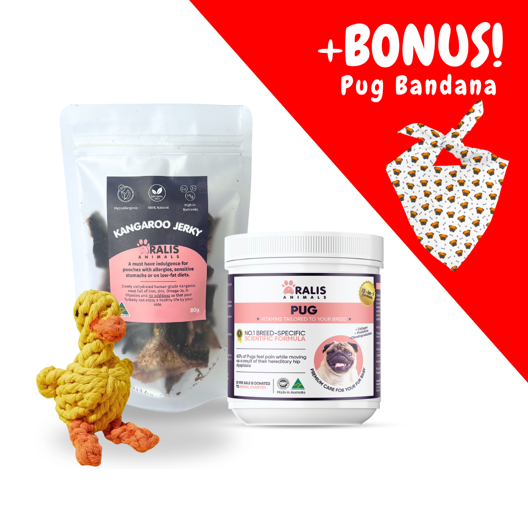 Pug Health & Play Box