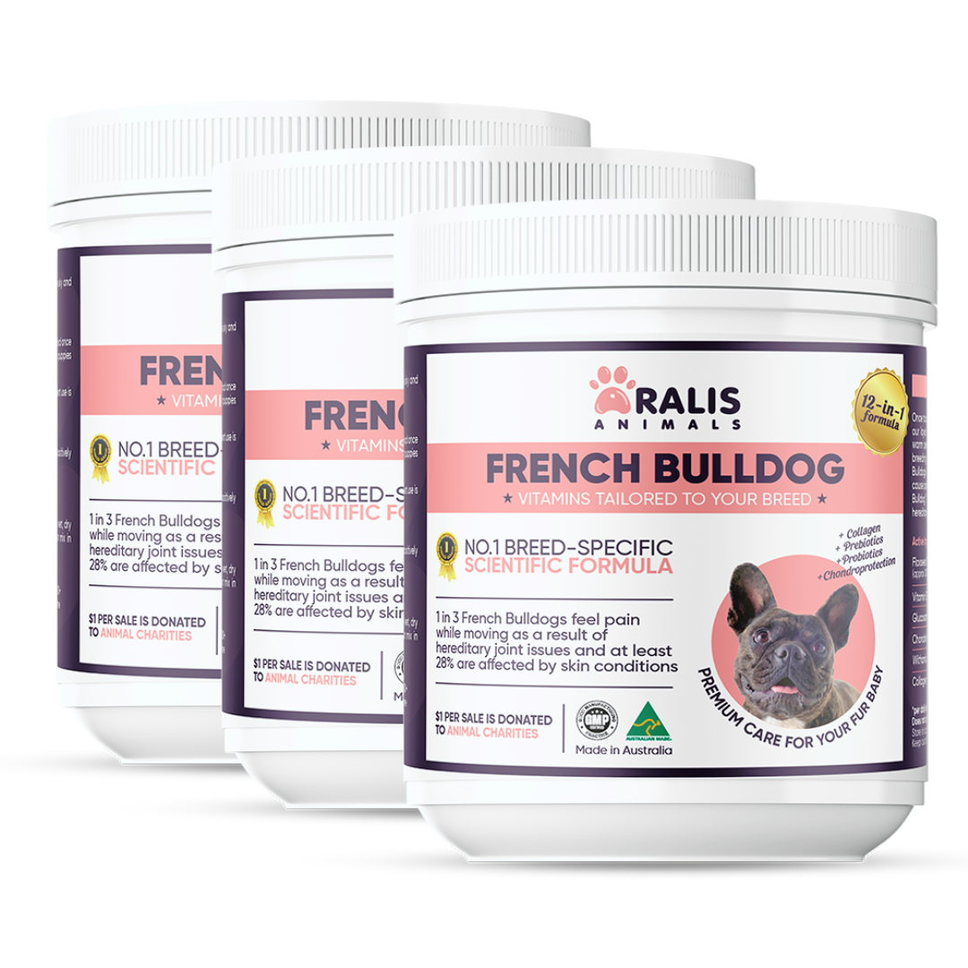 French Bulldog - Pack of 3