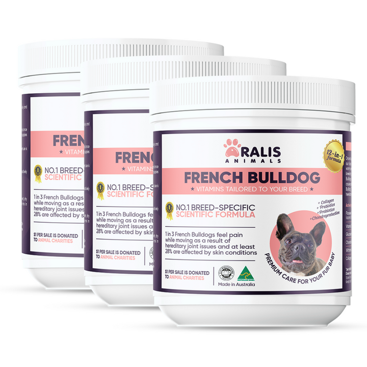 French Bulldog - Pack of 3